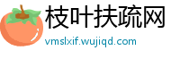 枝叶扶疏网